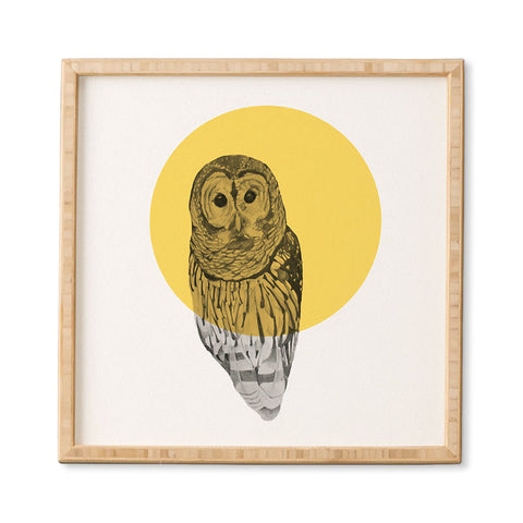 Morgan Kendall Gold Owl Framed Wall Art