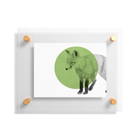 Morgan Kendall green fox Floating Acrylic Print