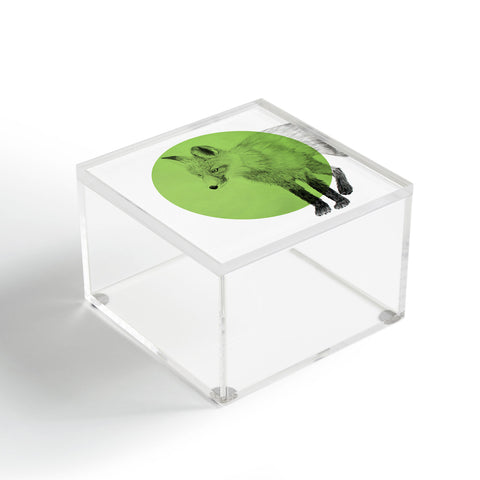 Morgan Kendall green fox Acrylic Box