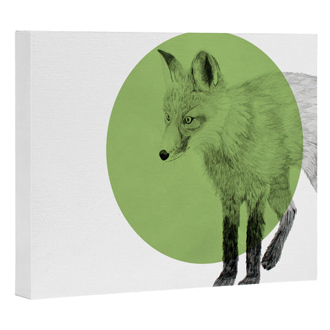 Morgan Kendall green fox Art Canvas