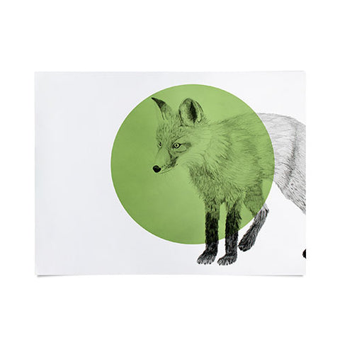 Morgan Kendall green fox Poster