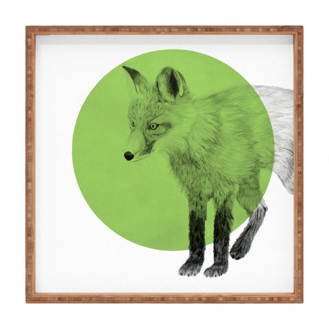 Morgan Kendall green fox Square Tray