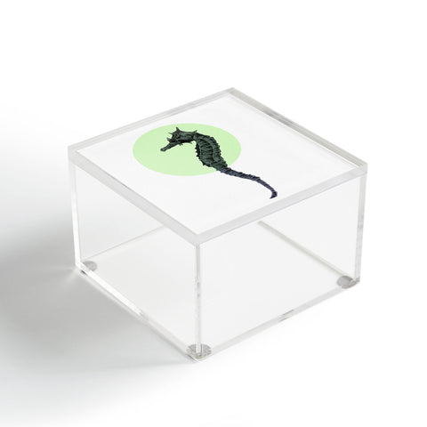 Morgan Kendall green seahorse Acrylic Box