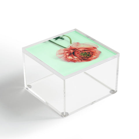 Morgan Kendall melon Acrylic Box