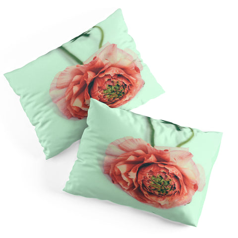 Morgan Kendall melon Pillow Shams