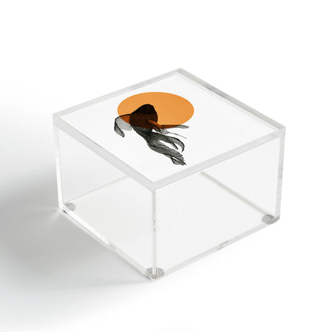Morgan Kendall orange goldfish Acrylic Box