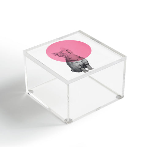 Morgan Kendall pink cat Acrylic Box