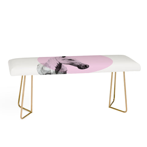 Morgan Kendall pink speckled horse Bench