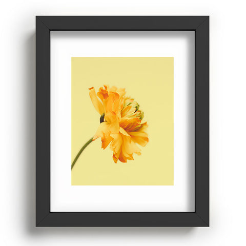 Morgan Kendall profile Recessed Framing Rectangle