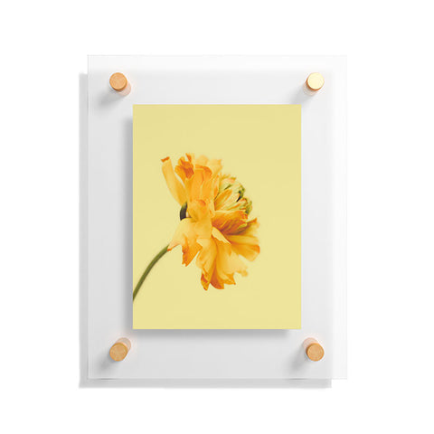 Morgan Kendall profile Floating Acrylic Print