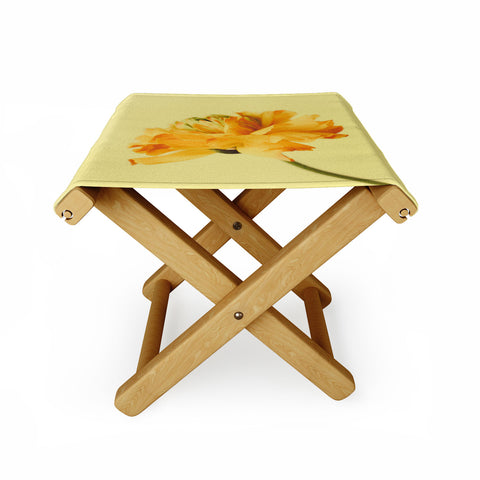 Morgan Kendall profile Folding Stool