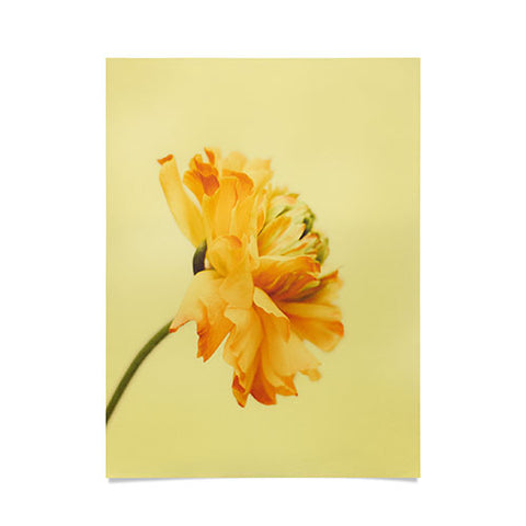 Morgan Kendall profile Poster