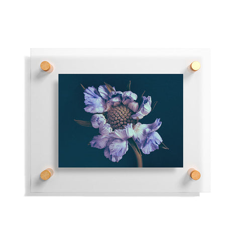 Morgan Kendall purple honeycomb Floating Acrylic Print