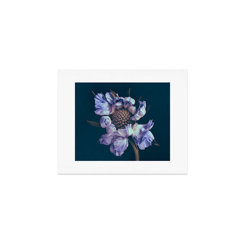 Morgan Kendall purple honeycomb Art Print