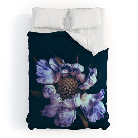 Morgan Kendall purple honeycomb Comforter