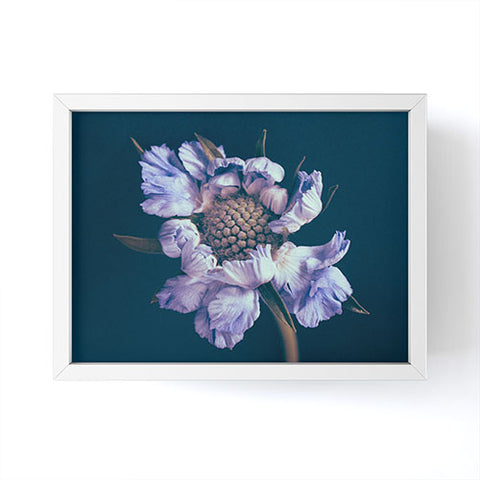 Morgan Kendall purple honeycomb Framed Mini Art Print