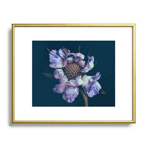 Morgan Kendall purple honeycomb Metal Framed Art Print