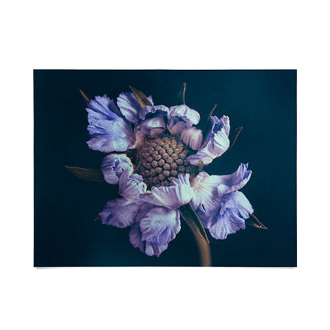 Morgan Kendall purple honeycomb Poster