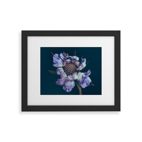 Morgan Kendall purple honeycomb Framed Art Print