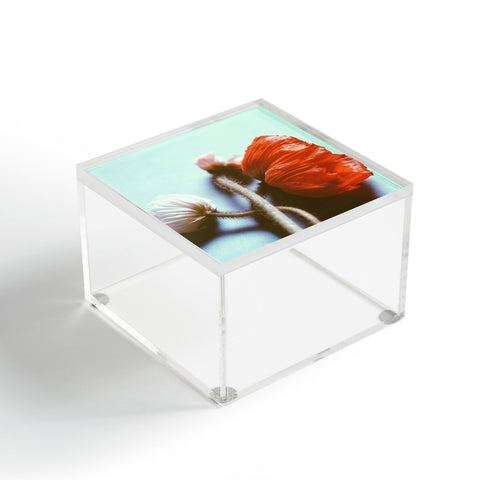 Morgan Kendall speak softly Acrylic Box