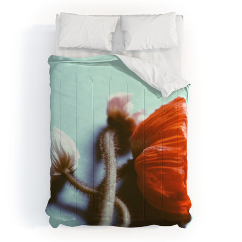 Morgan Kendall speak softly Comforter