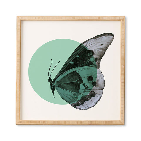 Morgan Kendall turquiose butterfly Framed Wall Art