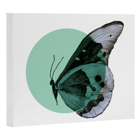 Morgan Kendall turquiose butterfly Art Canvas