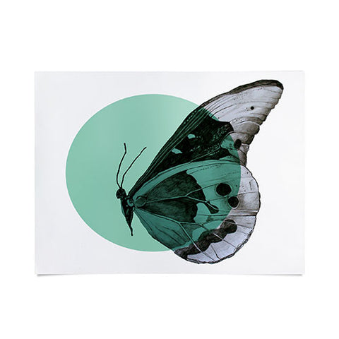 Morgan Kendall turquiose butterfly Poster