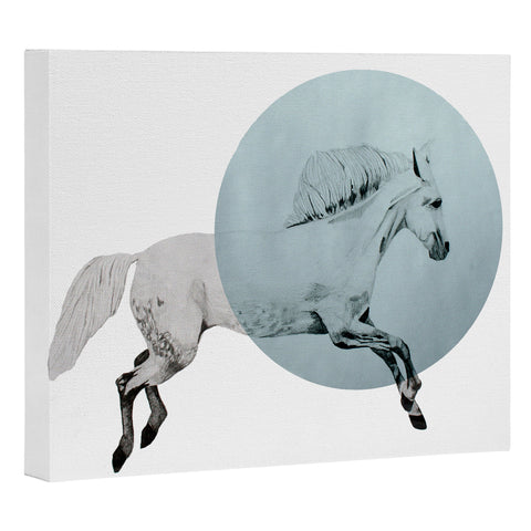 Morgan Kendall White Horse Art Canvas