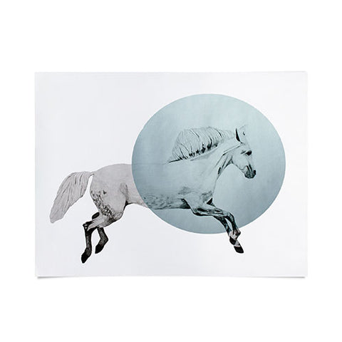 Morgan Kendall White Horse Poster