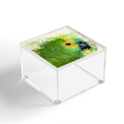 Msimioni Loro Acrylic Box