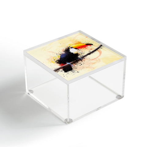 Msimioni Tucano Acrylic Box
