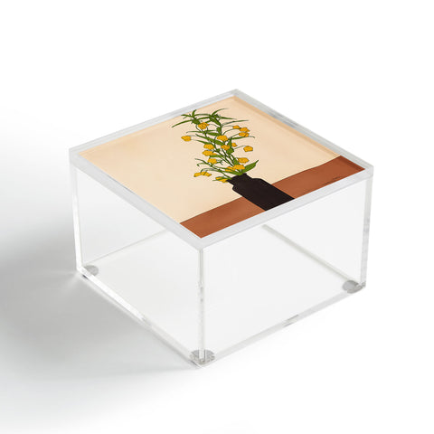 Nadja Branch Gift Terracotta Acrylic Box