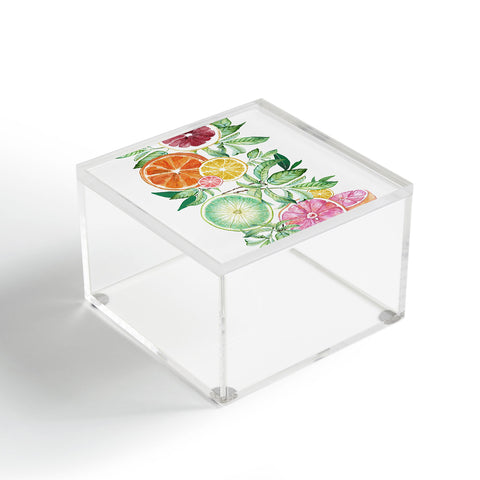 Nadja Citrus Fruit Acrylic Box