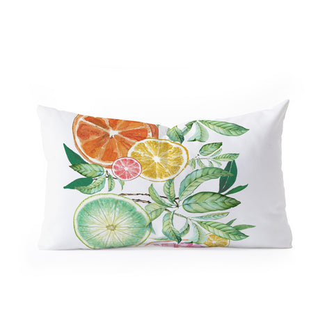 Nadja Citrus Fruit Oblong Throw Pillow