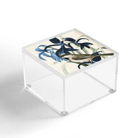 Nadja Little Bird and Flowers II Acrylic Box