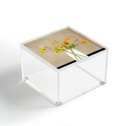 Nadja Little Gift Terra Acrylic Box