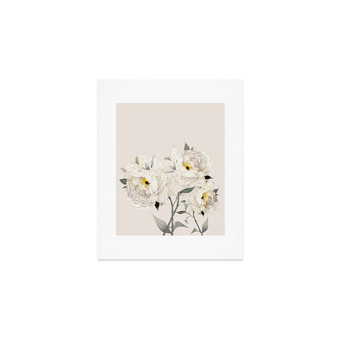 Nadja White Peonies Art Print