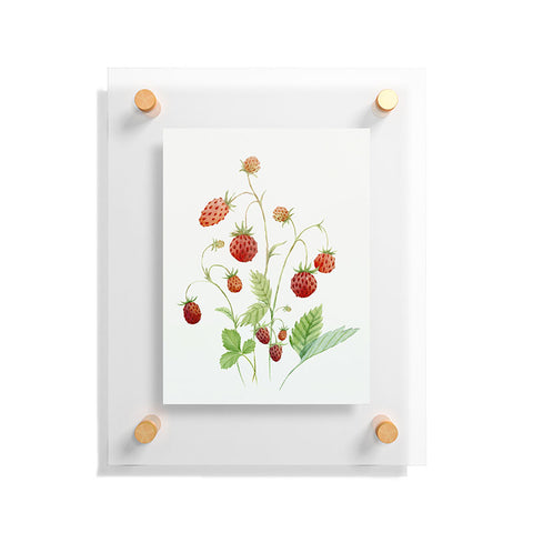 Nadja Wild Strawberries Floating Acrylic Print