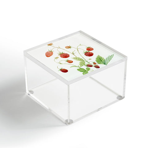 Nadja Wild Strawberries Acrylic Box
