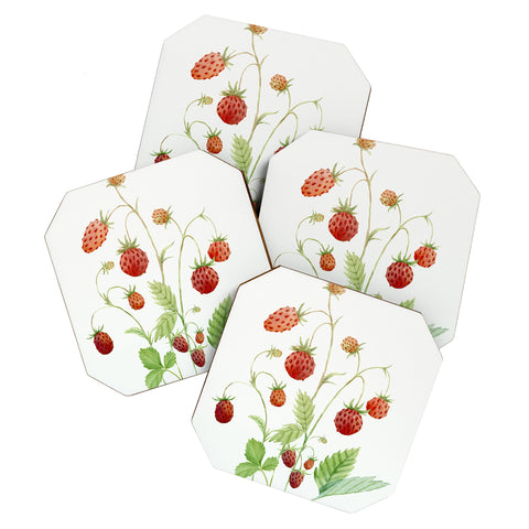Nadja Wild Strawberries Coaster Set