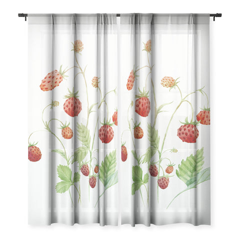 Nadja Wild Strawberries Sheer Non Repeat