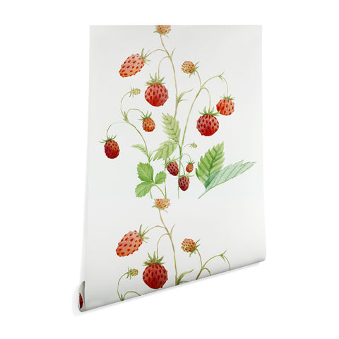 Nadja Wild Strawberries Wallpaper