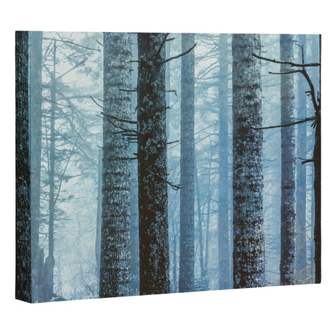 Nature Magick Blue Wanderlust Forest Fog Art Canvas