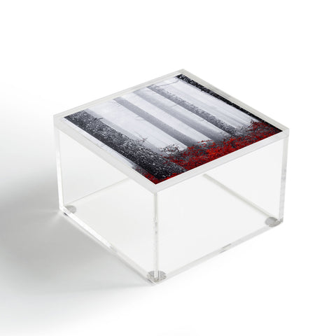 Nature Magick Fall Forest Adventure Acrylic Box