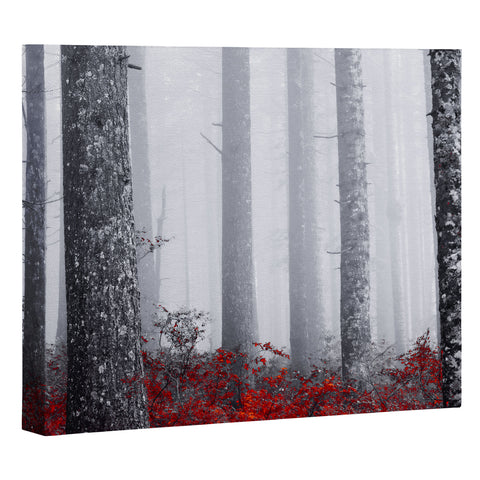 Nature Magick Fall Forest Adventure Art Canvas