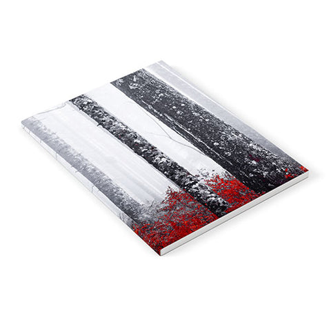 Nature Magick Fall Forest Adventure Notebook