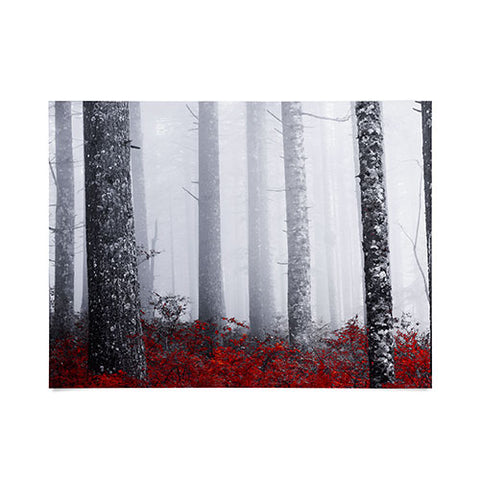 Nature Magick Fall Forest Adventure Poster