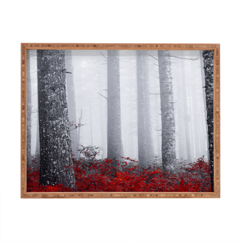 Nature Magick Fall Forest Adventure Rectangular Tray