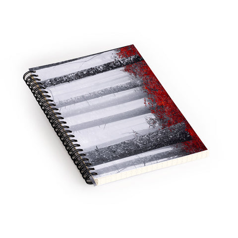 Nature Magick Fall Forest Adventure Spiral Notebook